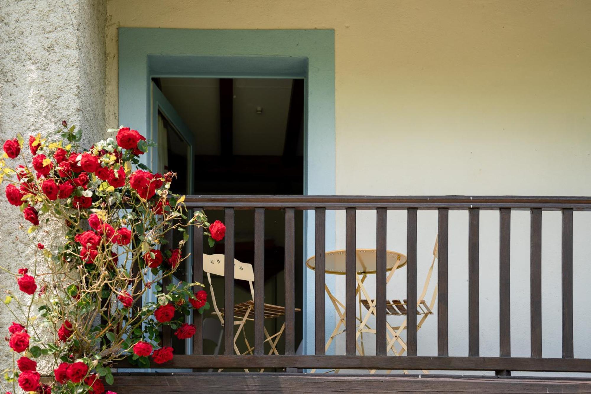 Domaine De Ramonjuan Hotel Bagneres-de-Bigorre Exterior photo